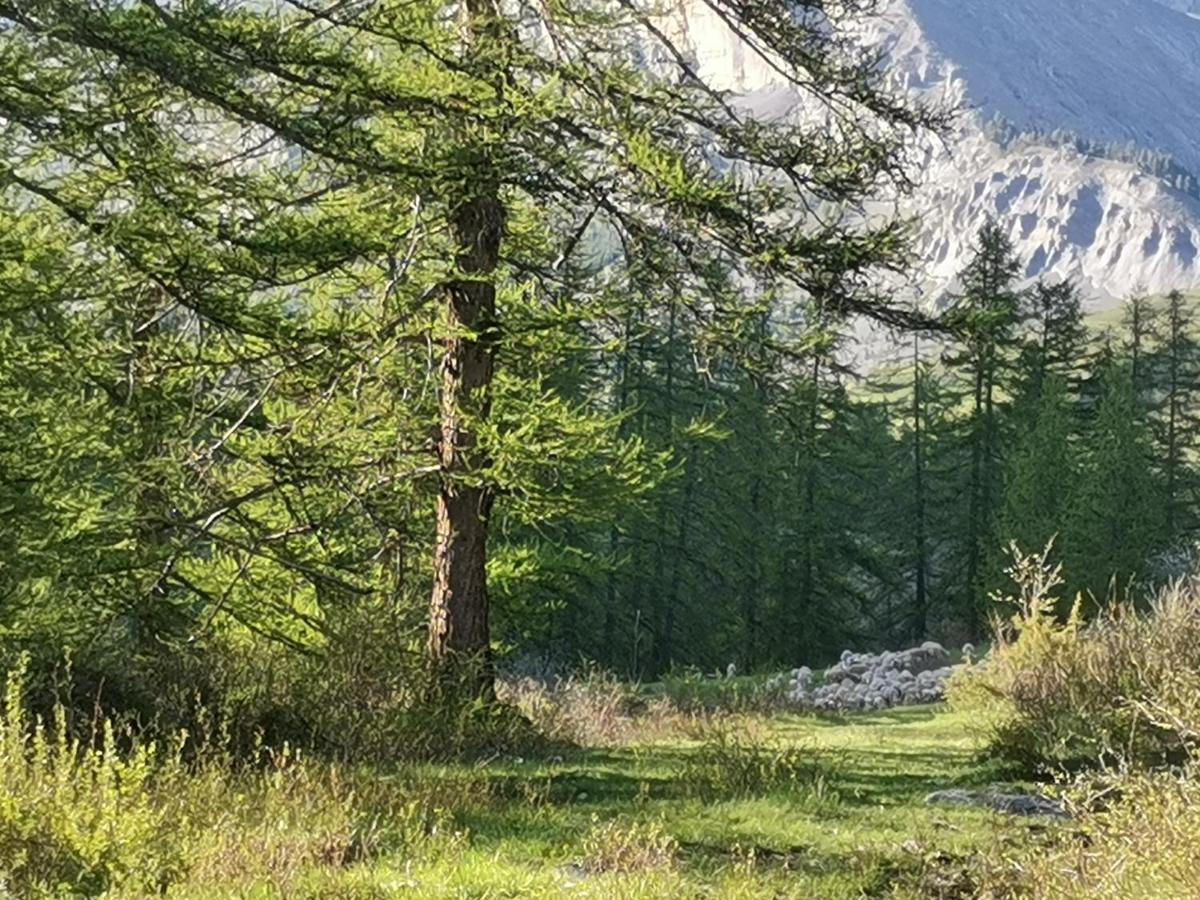 Residence le Cairn Le Monetier-les-Bains Bagian luar foto